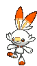 Scorbunny — Showdown