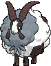Dubwool — Showdown