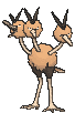 Dodrio — Showdown