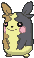 Morpeko — Showdown