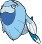 Arctovish — Showdown