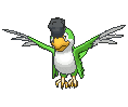 Squawkabilly — Showdown