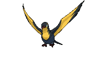 Kilowattrel — Showdown