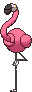 Flamigo — Showdown