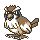 pidgey — yellow