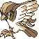 pidgeot — yellow