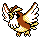 pidgey — crystal