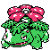 venusaur — crystal