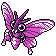 venomoth — crystal