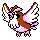pidgey — gold silver