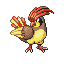 pidgeotto — emerald