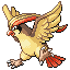 pidgeot — emerald
