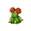 bellossom — emerald