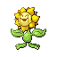 sunflora — emerald