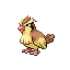 pidgey — firered leafgreen