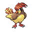 pidgeotto — firered leafgreen