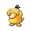 psyduck — firered leafgreen