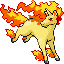 rapidash — firered leafgreen