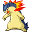 typhlosion — ruby sapphire