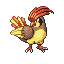 pidgeotto — ruby sapphire