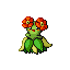 bellossom — ruby sapphire