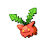 hoppip — ruby sapphire