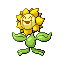 sunflora — ruby sapphire