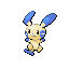 minun — ruby sapphire