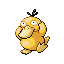 psyduck — ruby sapphire