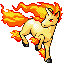 rapidash — ruby sapphire