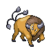 tauros — diamond pearl