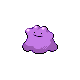 ditto — diamond pearl