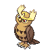 noctowl — diamond pearl