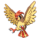 pidgeotto — diamond pearl