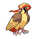 pidgeot — diamond pearl