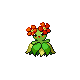 bellossom — diamond pearl