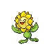 sunflora — diamond pearl