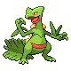 sceptile — diamond pearl