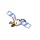 wingull — diamond pearl