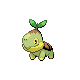 turtwig — diamond pearl