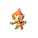 chimchar — diamond pearl