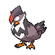 staraptor — diamond pearl