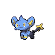 shinx — diamond pearl
