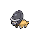 shieldon — diamond pearl