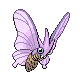 venomoth — diamond pearl