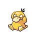 psyduck — diamond pearl