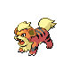 growlithe — diamond pearl
