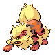 arcanine — diamond pearl