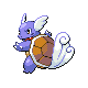 wartortle — diamond pearl