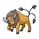 tauros — heartgold soulsilver